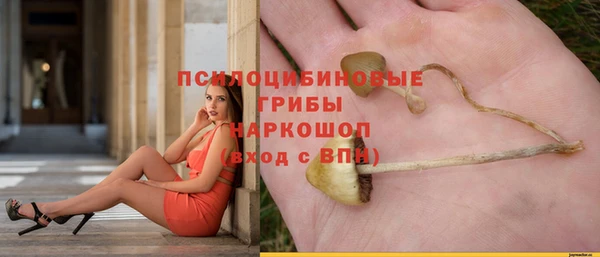 винт Абаза