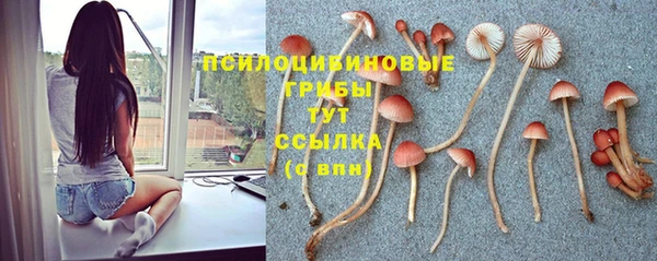герыч Алзамай