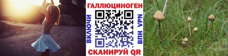 Псилоцибиновые грибы ЛСД  гидра ТОР  Пугачёв 